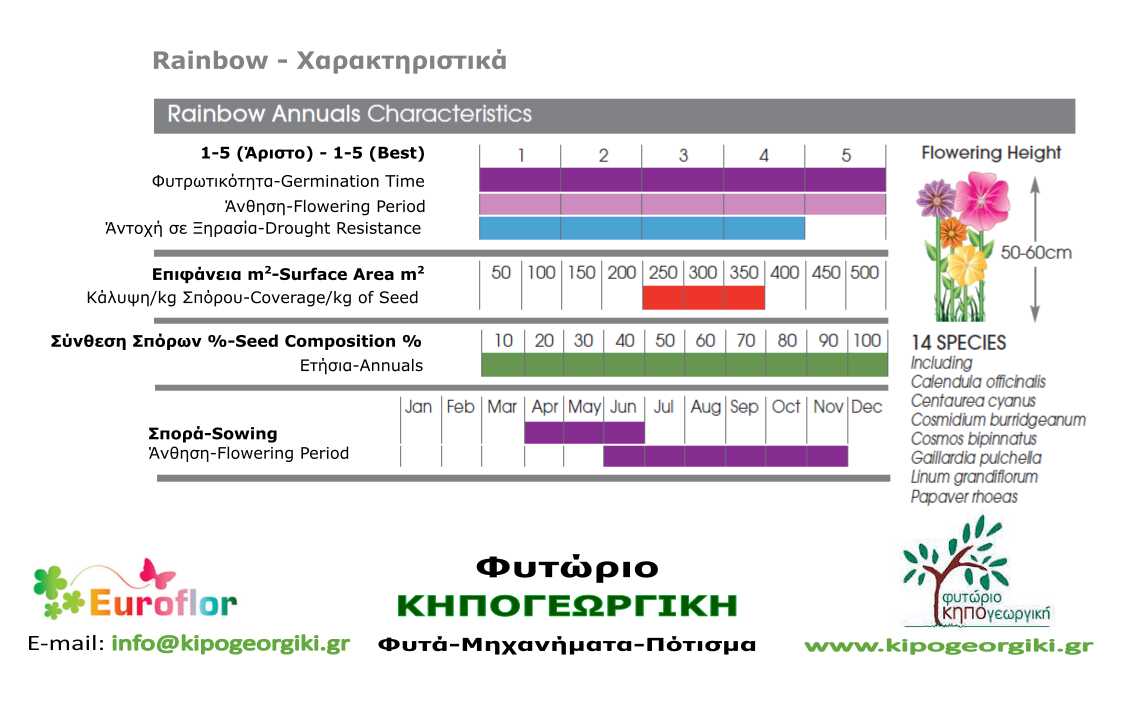 Rainbow Annuals 1kg Σπόροι Μείγμα για Αστικά Λιβάδια EUROFLOR